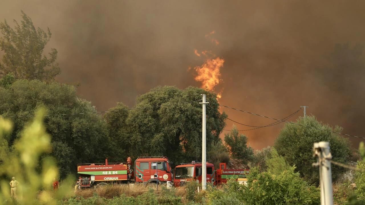Muğla Orman Yangini (3)