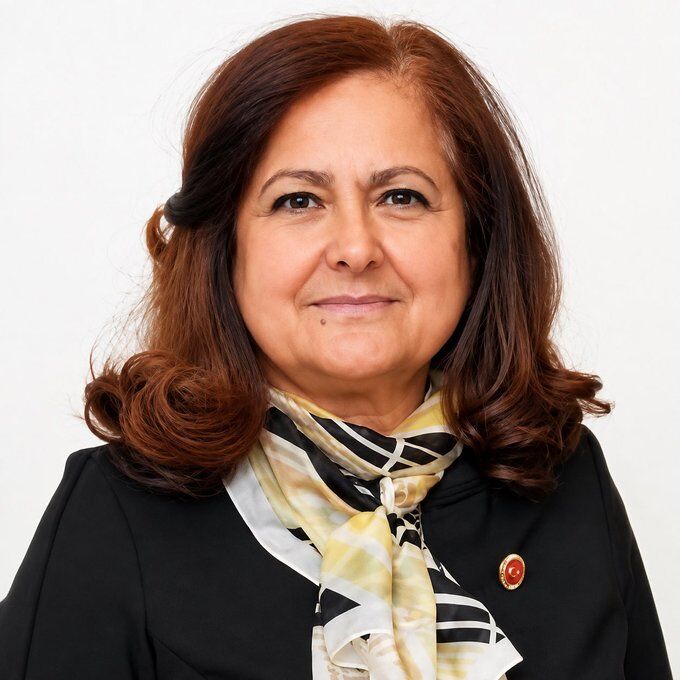 Sibel Tan Çetinkaya.jpg